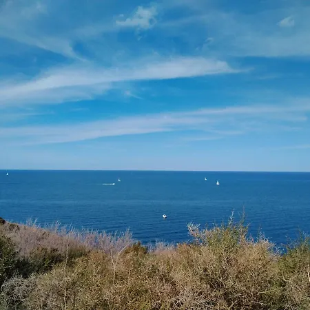 Torreillans - Nid Douillet - Bleu *