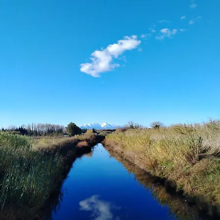Torreillans - Nid Douillet - Bleu 托雷伊